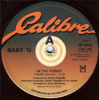Baby'O - In The Forest download mp3 flac