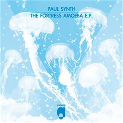 Paul Synth - The Fortress Amoeba download mp3 flac
