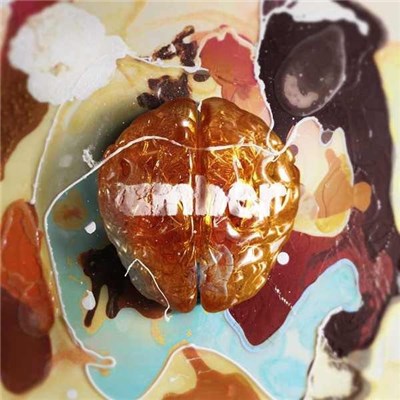 Everything Is Made In China - Amber download mp3 flac