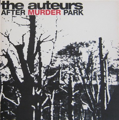 The Auteurs - After Murder Park download mp3 flac