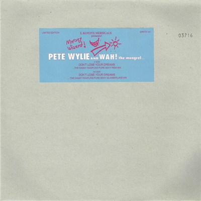 Pete Wylie And Wah! The Mongrel... - Don't Lose Your Dreams download mp3 flac