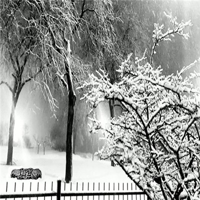Leper - 12 Songs Of Christmas download mp3 flac
