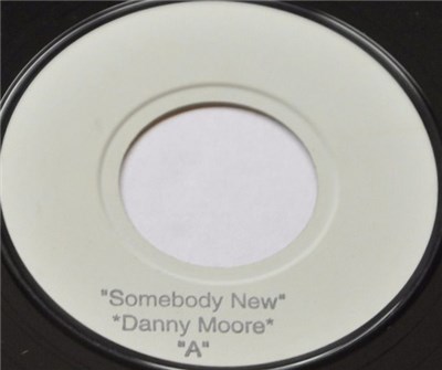 Danny Moore / The Magnetics - Somebody New / Lady In Green download mp3 flac