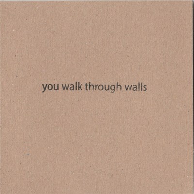 You Walk Through Walls - You Walk Through Walls download mp3 flac