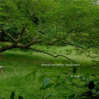 aal - in luce download mp3 flac