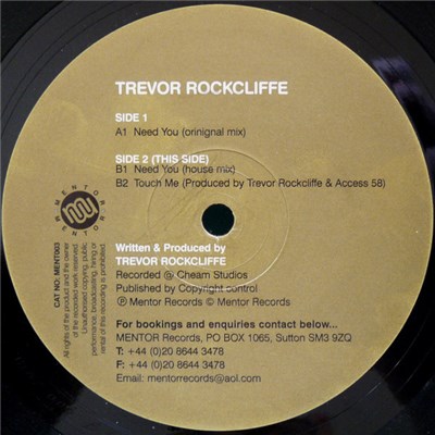 Trevor Rockcliffe - Need You download mp3 flac