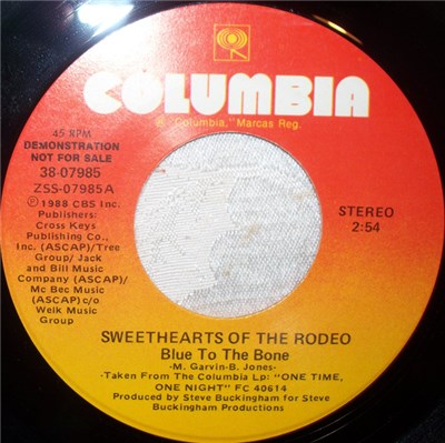 Sweethearts Of The Rodeo - Blue To The Bone download mp3 flac