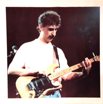 Frank Zappa - Fits Your 34B, No Matter Which 43B You Are. download mp3 flac