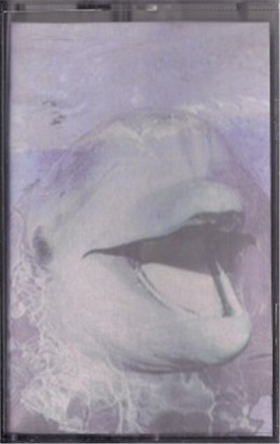 Dolphins Into The Future - Voyage Series Pt1 download mp3 flac