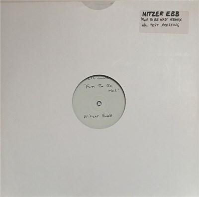 Nitzer Ebb - Fun To Be Had (George Clinton Remix) download mp3 flac