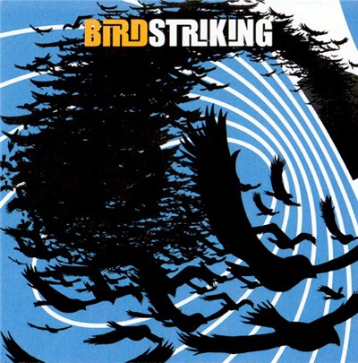 Birdstriking - Birdstriking download mp3 flac
