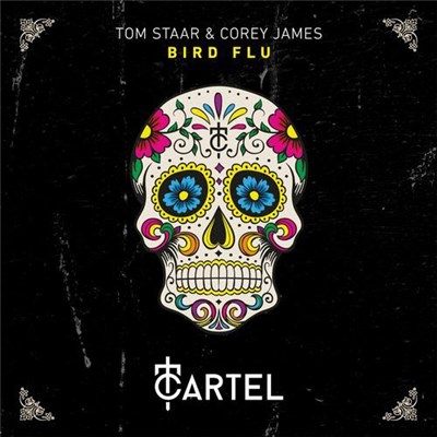 Tom Staar & Corey James - Bird Flu download mp3 flac