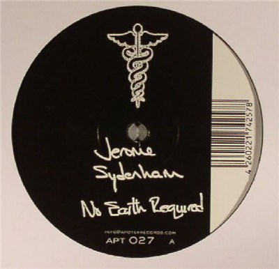 Jerome Sydenham - No Earth Required download mp3 flac