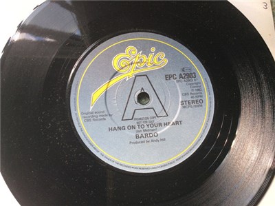 Bardo - Hang On To Your Heart download mp3 flac