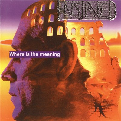 Enslaved - Where Is The Meaning download mp3 flac