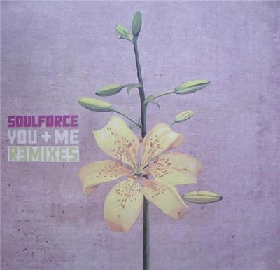Soulforce - You + Me (Remixes) download mp3 flac