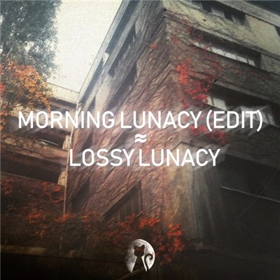 Viva la Luna - Morning Lunacy (Edit) / Lossy Lunacy download mp3 flac