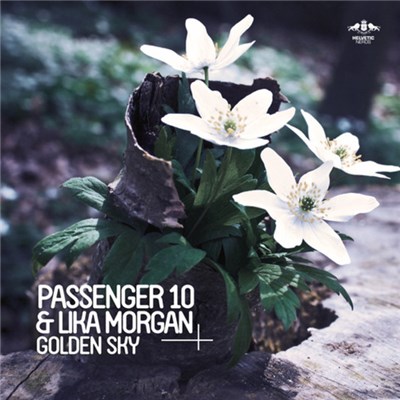 Passenger 10 & Lika Morgan - Golden Sky download mp3 flac