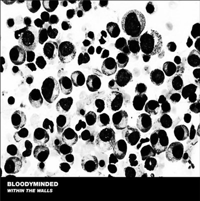 BLOODYMINDED - Within The Walls download mp3 flac