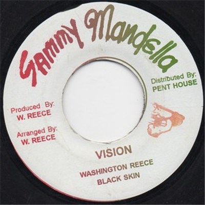 Washington Reece / Black Skin - Vision download mp3 flac