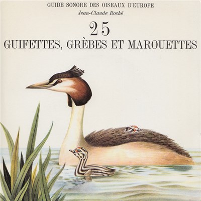 Jean-Claude Roché - Guifettes, Grèbes Et Marouettes download mp3 flac