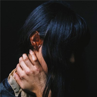 i_like_dog_face - Sleepless Illusions download mp3 flac
