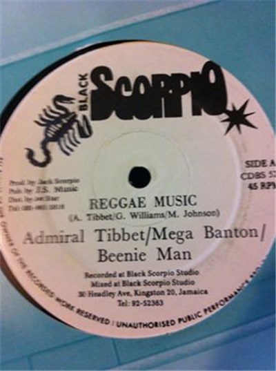 Admiral Tibbet / Mega Banton / Beenie Man - Reggae Music download mp3 flac