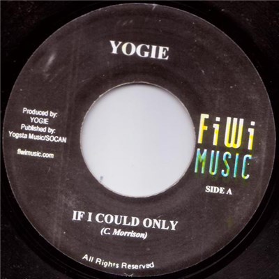 Yogie - If I Could Only download mp3 flac
