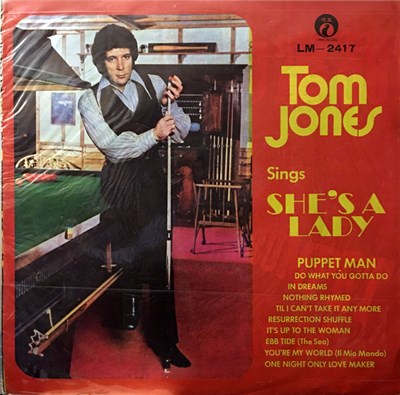 Tom Jones - Sings She's A Lady download mp3 flac