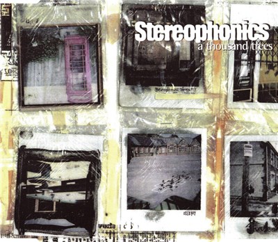 Stereophonics - A Thousand Trees download mp3 flac