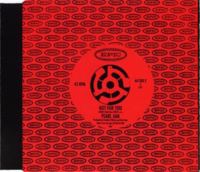 Pearl Jam - Not For You download mp3 flac