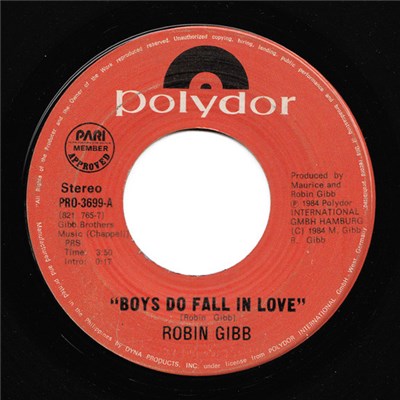 Robin Gibb - Boys Do Fall In Love download mp3 flac