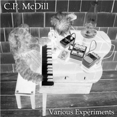 C.P. McDill - Various Experiments download mp3 flac