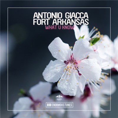 Antonio Giacca, Fort Arkansas - What U Know download mp3 flac