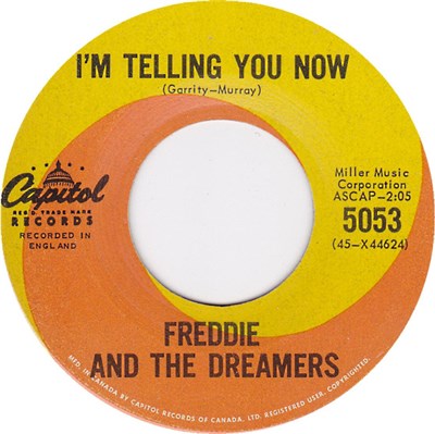 Freddie And The Dreamers - I'm Telling You Now download mp3 flac
