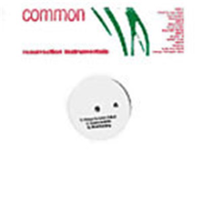 Common - Resurrection Instrumentals download mp3 flac