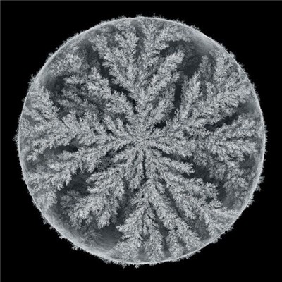 Max Cooper - Emergence Remixed download mp3 flac
