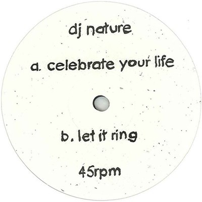 DJ Nature - Celebrate Your Life download mp3 flac