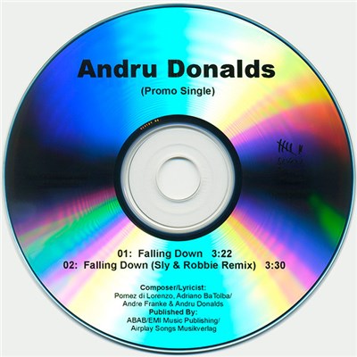 Andru Donalds - Falling Down download mp3 flac