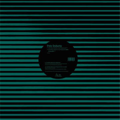 Peter Doherty / James Johnston - The Whole World Is Our Playground / Dark Water download mp3 flac