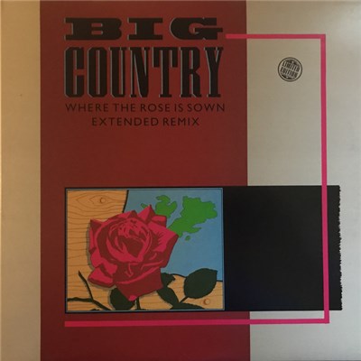 Big Country - Where The Rose Is Sown download mp3 flac