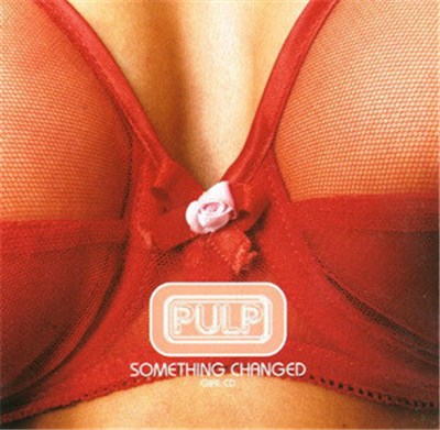Pulp - Something Changed download mp3 flac