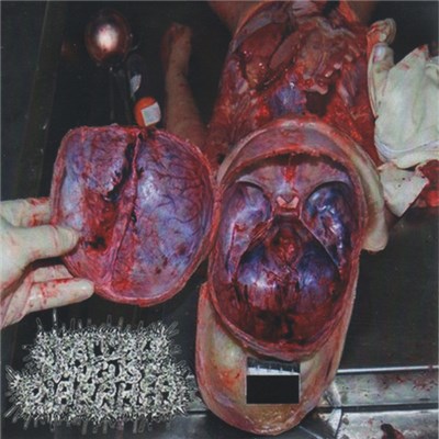 Swallow Mucus Diarrhea - Swallow Mucus Diarrhea download mp3 flac