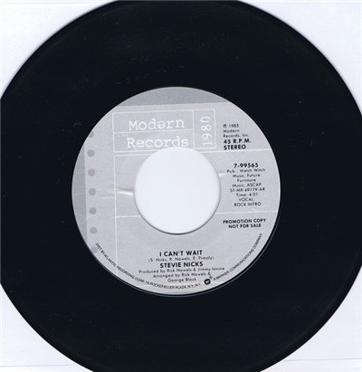 Stevie Nicks - I Can't Wait download mp3 flac