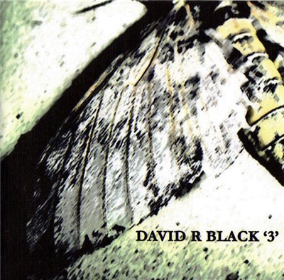 David R Black - '3' download mp3 flac