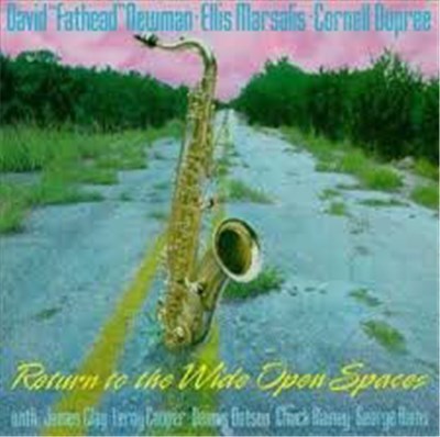 David "Fathead" Newman, Ellis Marsalis, Cornell Dupree - Return To The Wide Open Spaces download mp3 flac