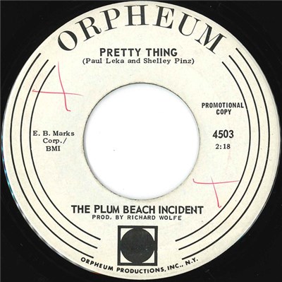 The Plum Beach Incident - Pretty Thing download mp3 flac