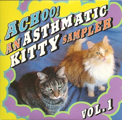 Various - Achoo! An Asthmatic Kitty Sampler Vol. 1 download mp3 flac