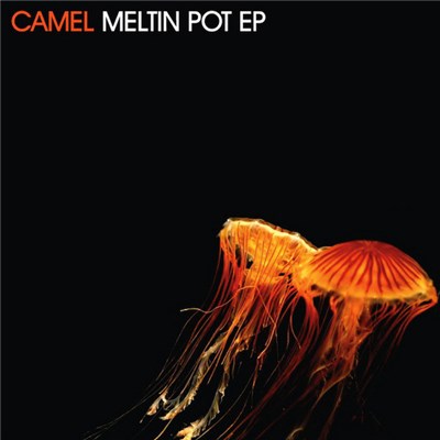 Camel - Meltin Pot EP download mp3 flac