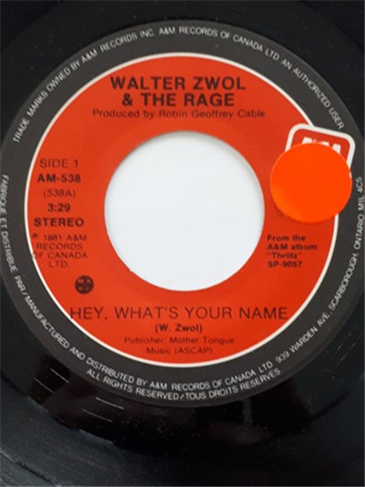 Walter Zwol & The Rage - Hey, Whats Your Name download mp3 flac